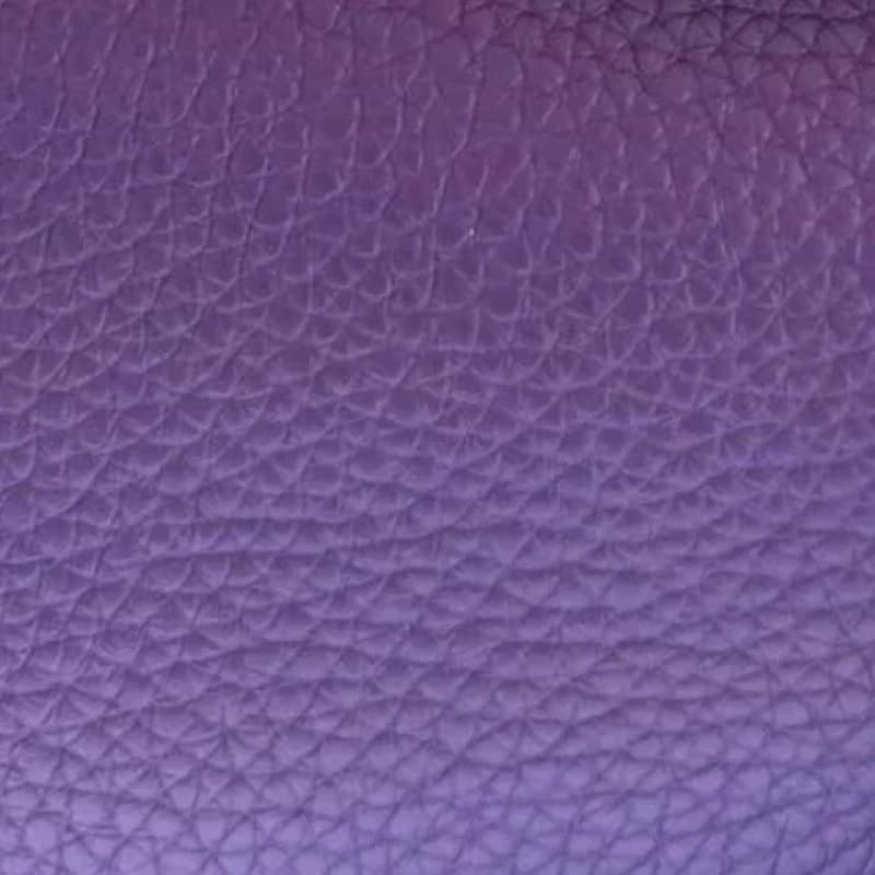 Purple Hermès color